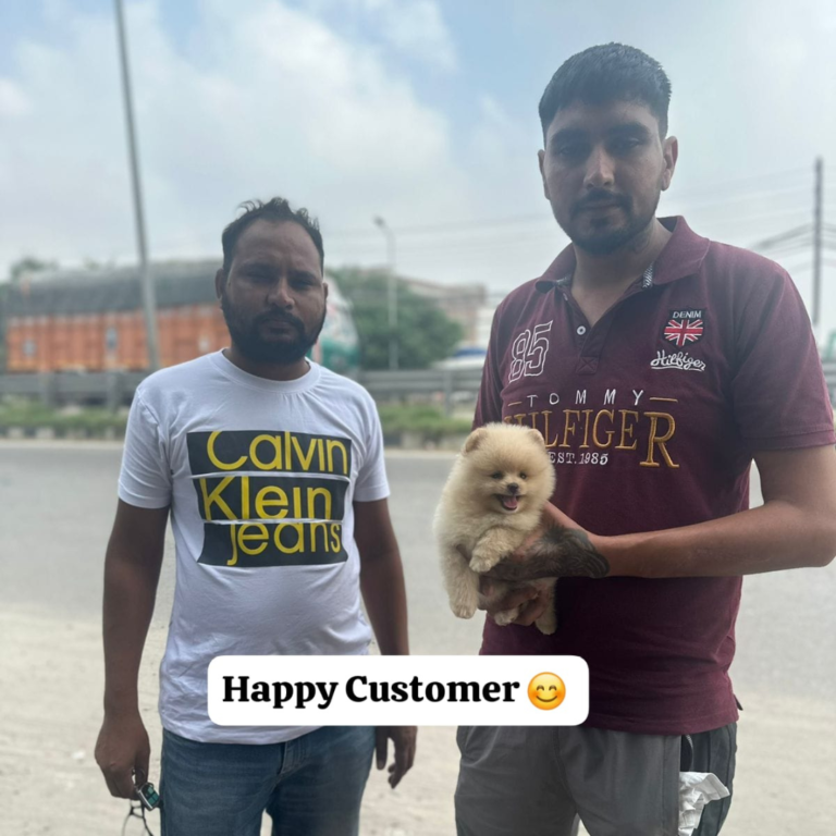 Pet 4 Dog  Happy Clients (12)